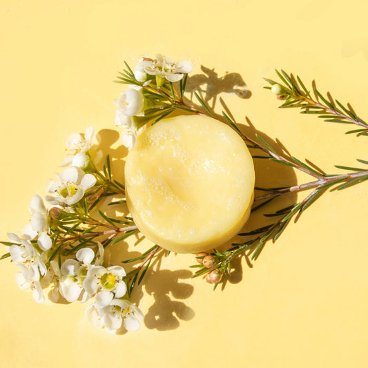 Conditioner Bars