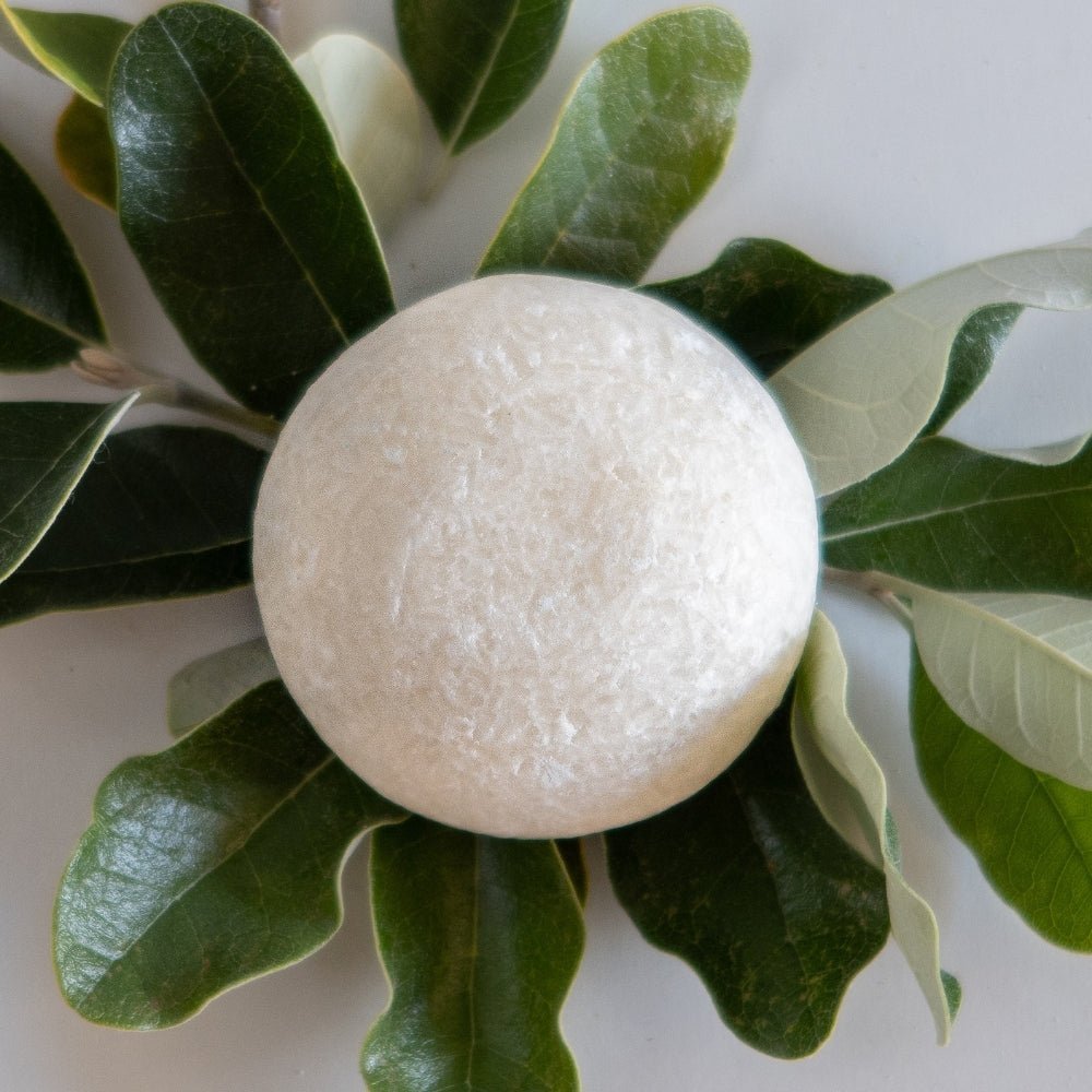 Shampoo Bars