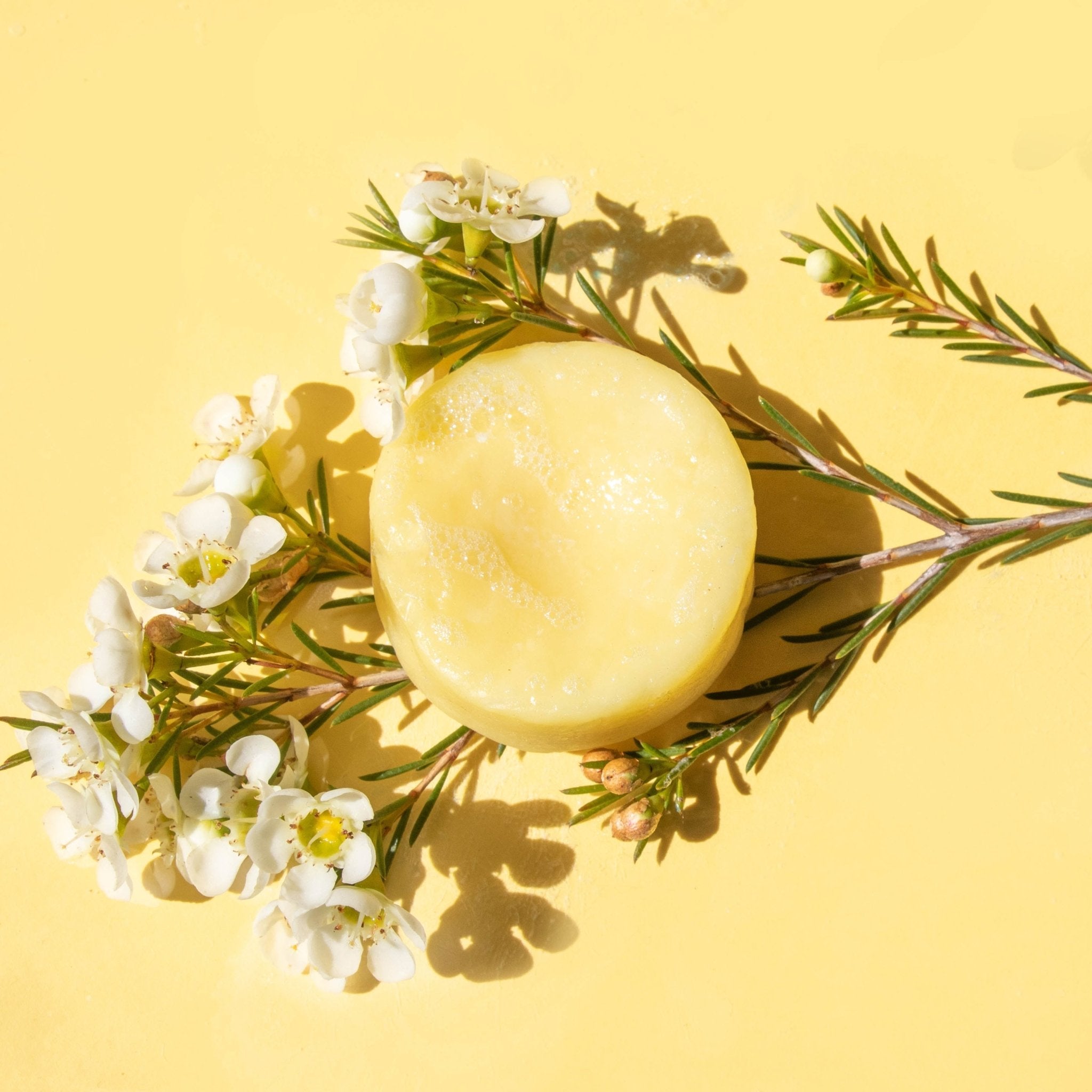 Conditioner Bars – Humby Organics