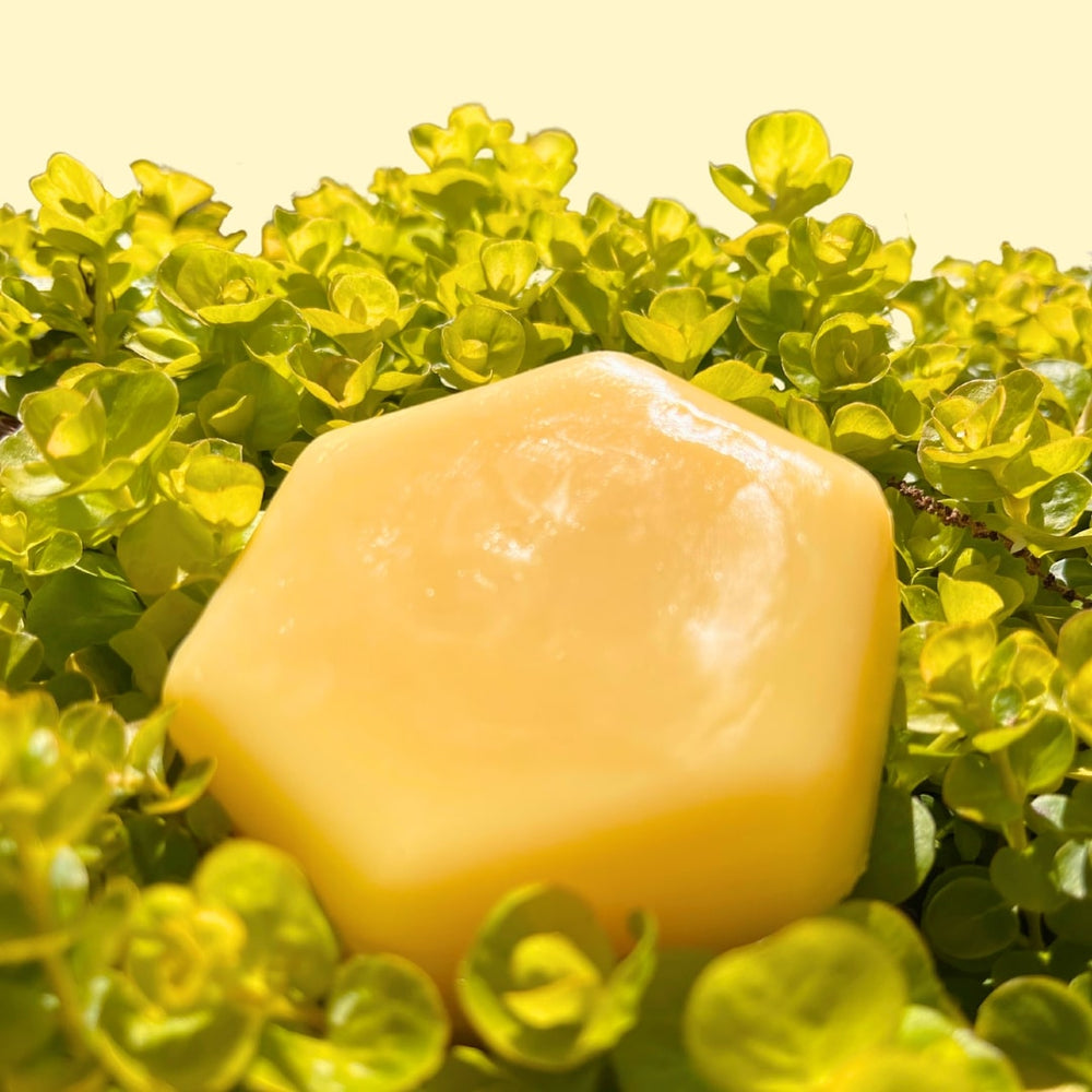 Collections – Humby Organics