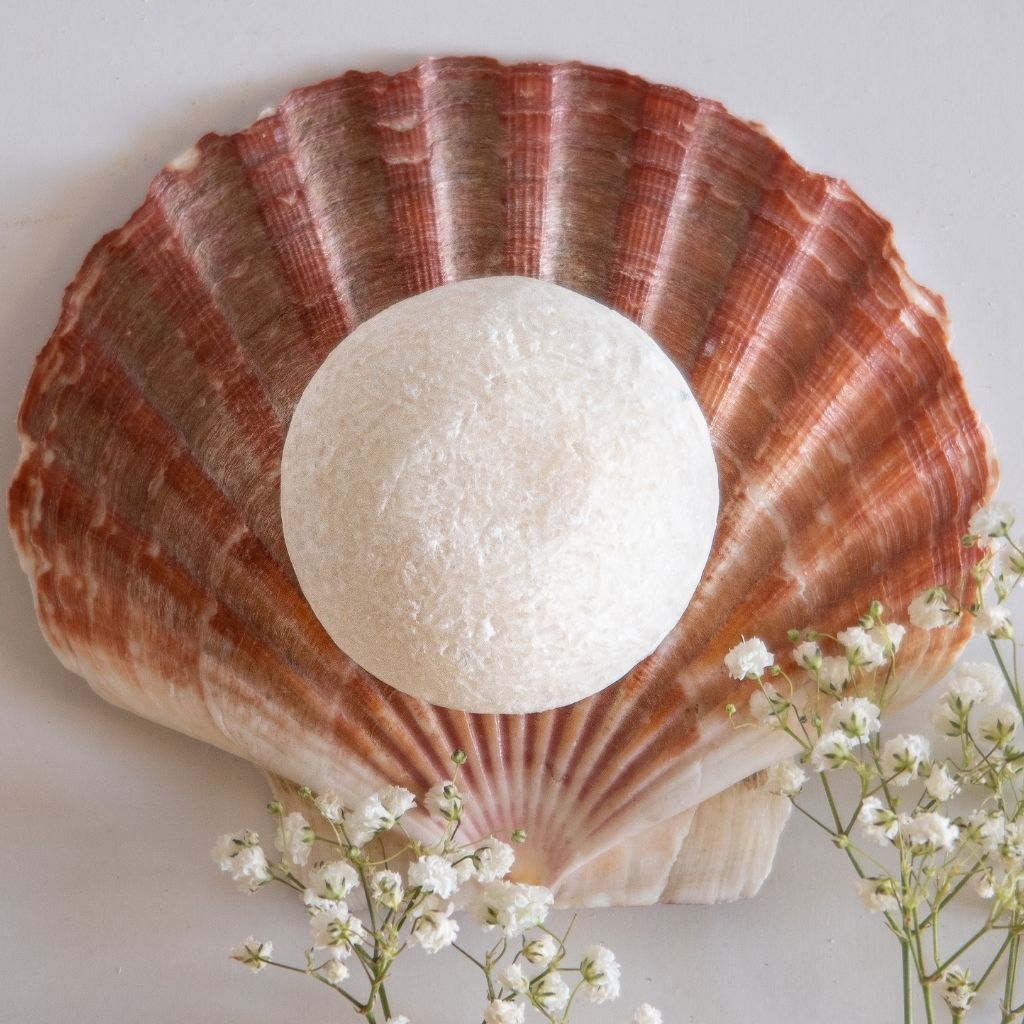Scallop Shell Aphrodite
